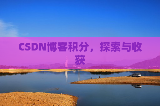 CSDN博客积分，探索与收获